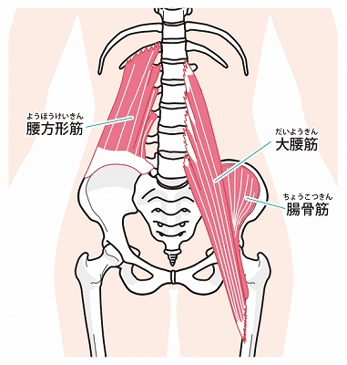 腸腰筋膜の図
